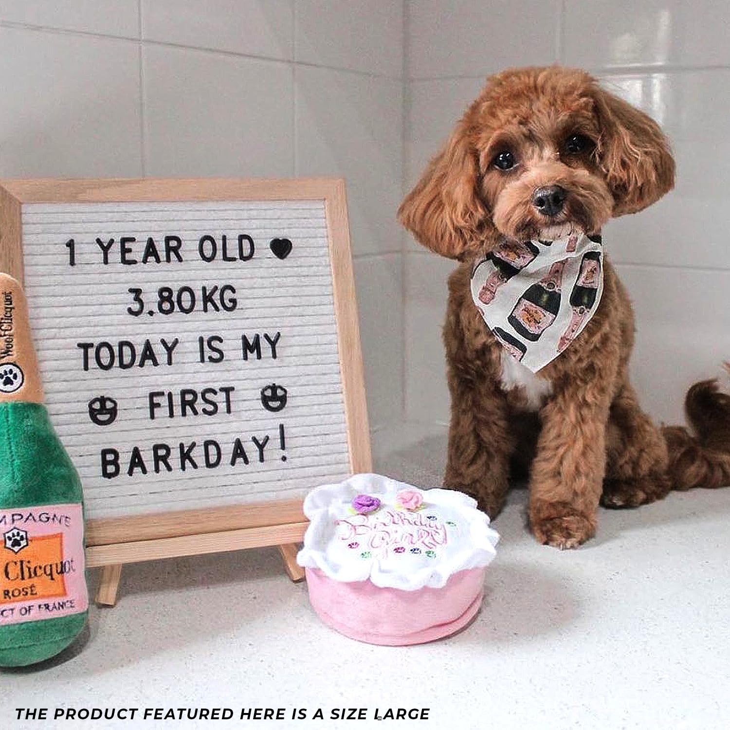 Haute Diggity Dog Birthday Girl Cake plush dog toy during a game of fetch.