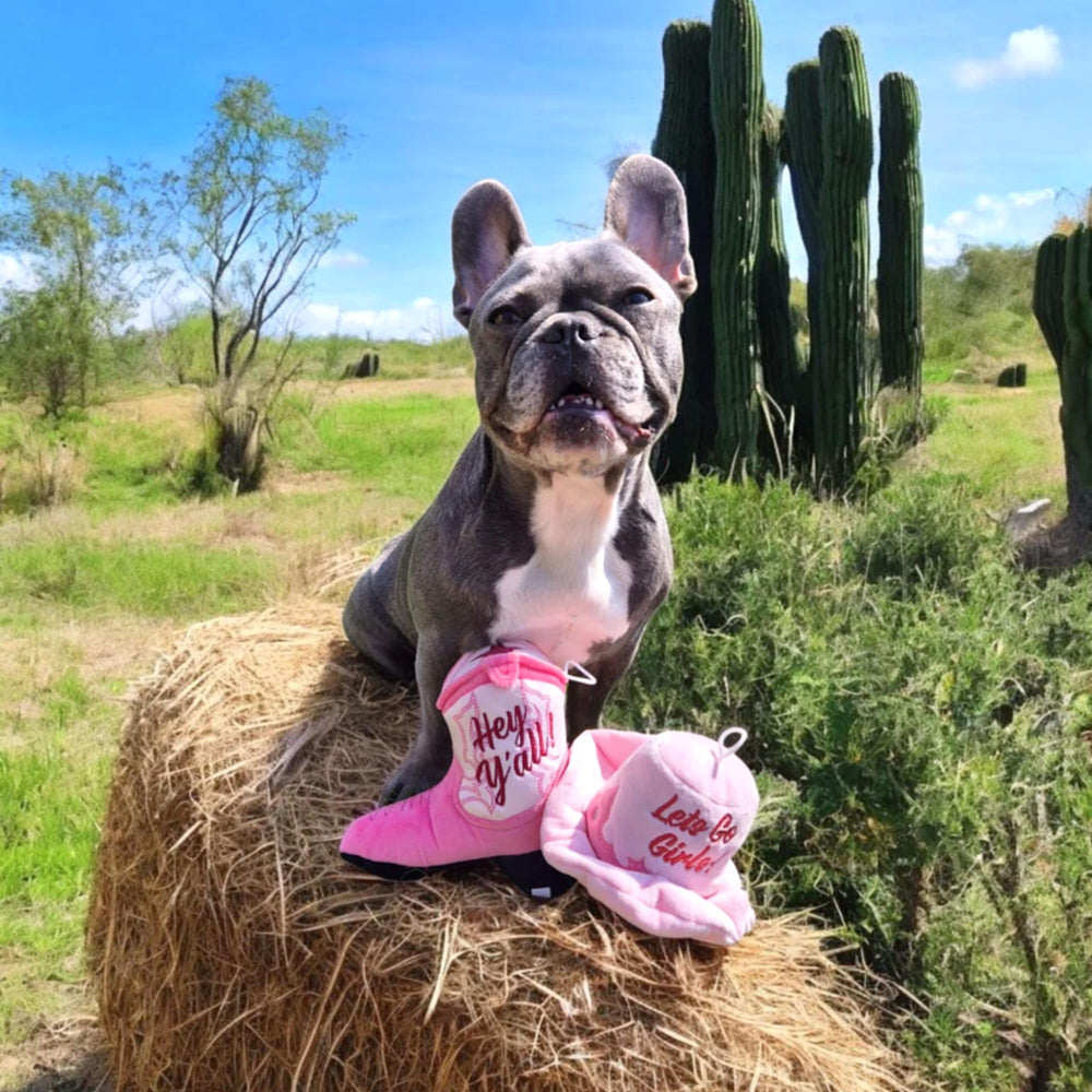 Haute Diggity Dog Cowgirl Boot plush dog toy shown as a complete product.