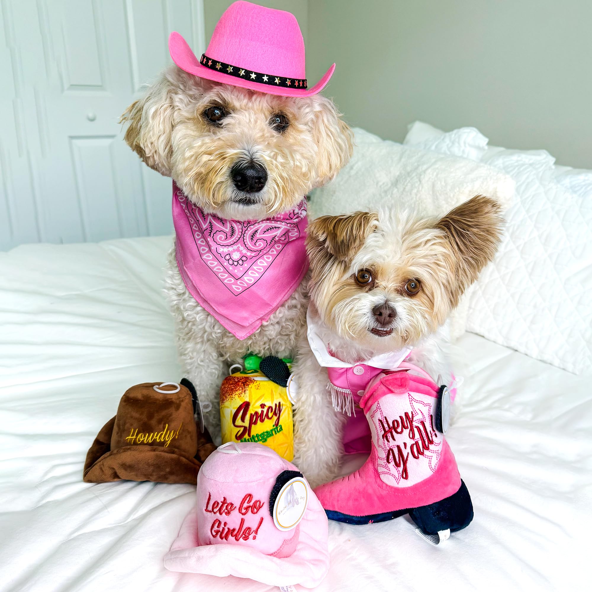 Haute Diggity Dog Cowgirl Hat Plush Dog Toy featured during dog play.