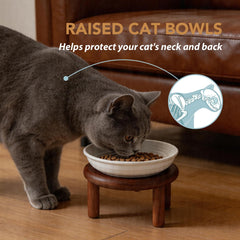 Havniva cat bowl shown with its acacia wood stand.