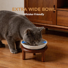 Havniva cat bowl shown in use while a cat eats.