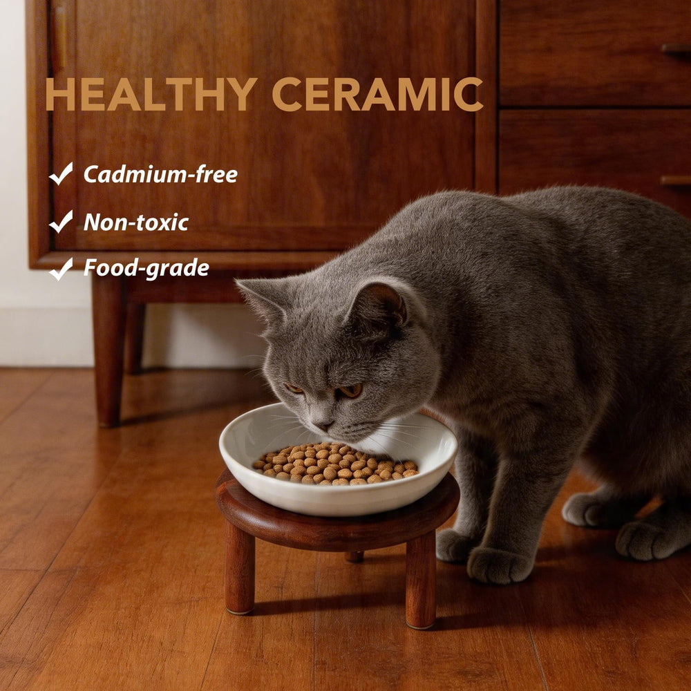 Havniva elevated cat bowl shown from the side to highlight its raised profile.