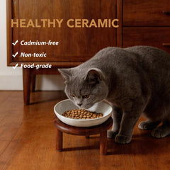 Havniva elevated cat bowl shown from the side to highlight its raised profile.