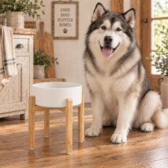 Havniva elevated dog bowl shown in use during a dog's meal.