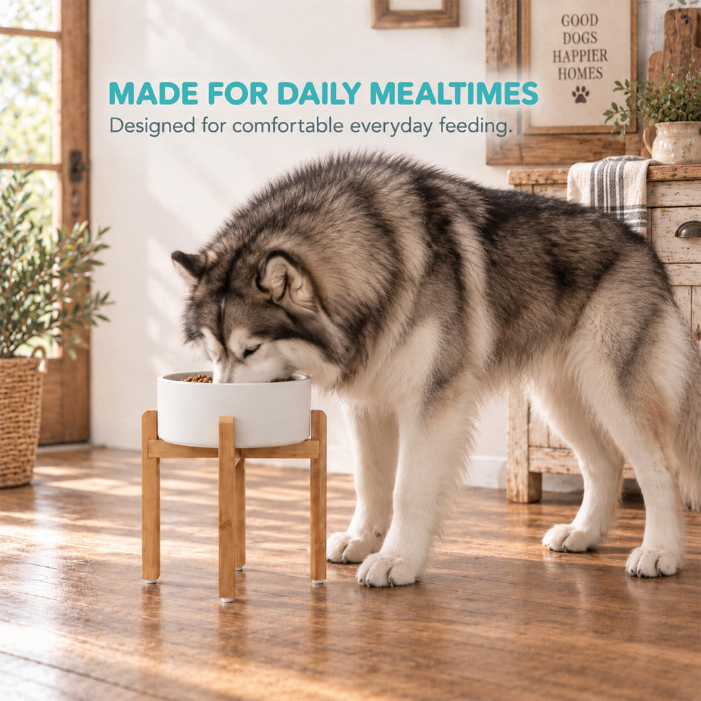 Havniva elevated ceramic dog bowl shown from the side with its stand.