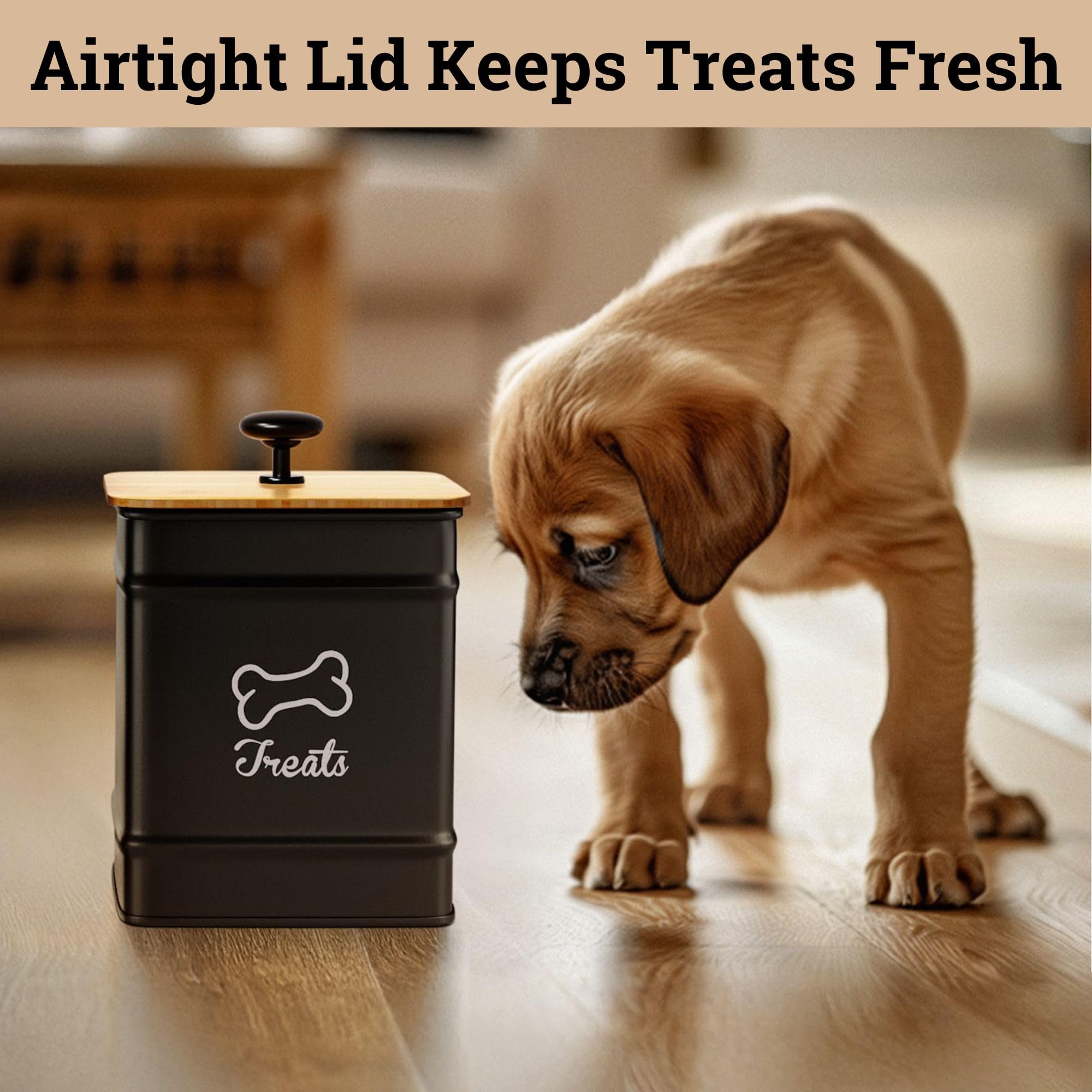 HB Design Co. Dog Treat Container highlighting its decorative printed design.