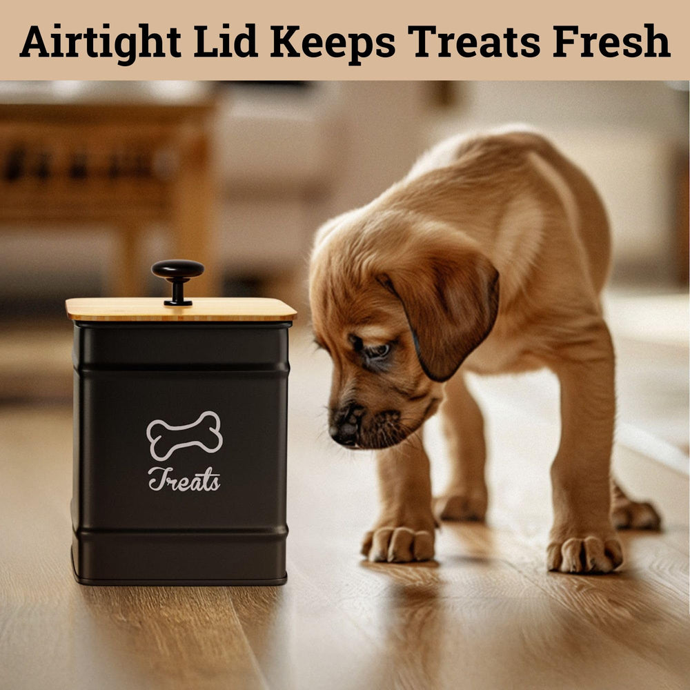 HB Design Co. Dog Treat Container highlighting its decorative printed design.