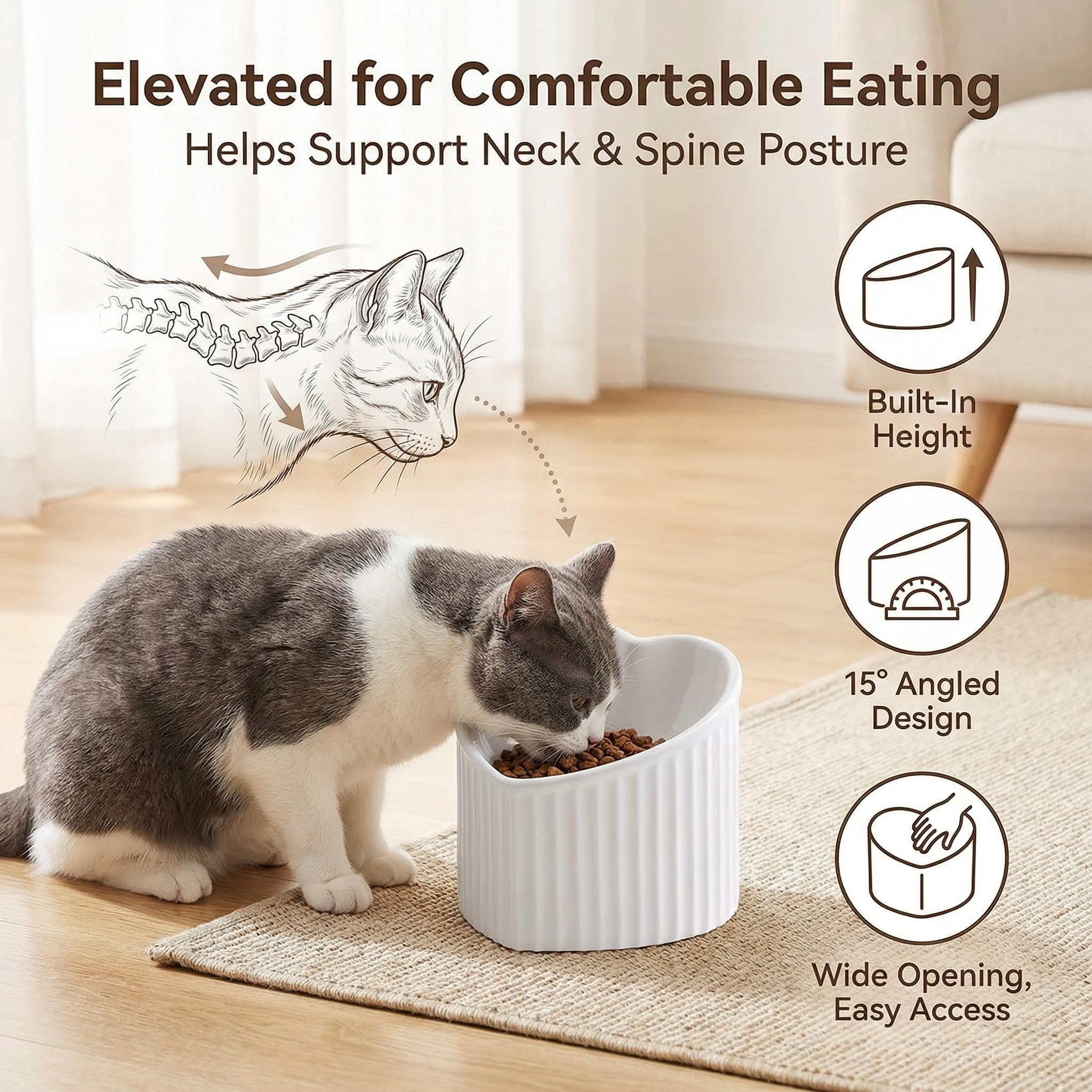 HCHLQLZ ceramic cat bowl viewed from above to show the tilted interior.