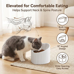 HCHLQLZ ceramic cat bowl viewed from above to show the tilted interior.