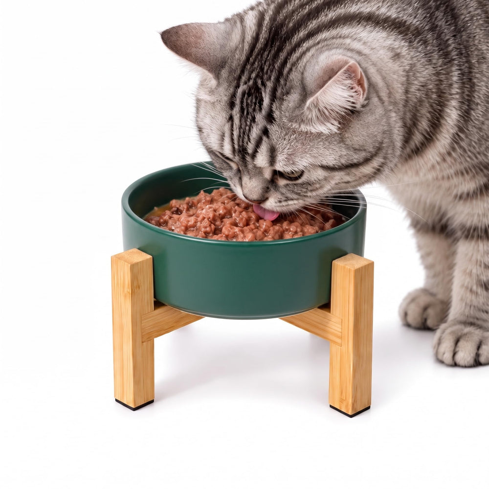 HCHLQLZ elevated cat bowl with ceramic bowl and bamboo stand shown from the front.