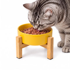 HCHLQLZ elevated cat bowl with its ceramic bowl and bamboo stand shown together.