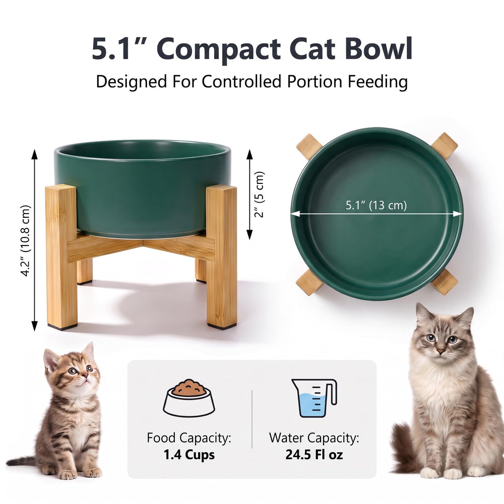 HCHLQLZ elevated cat bowl shown from the side to display its raised design.