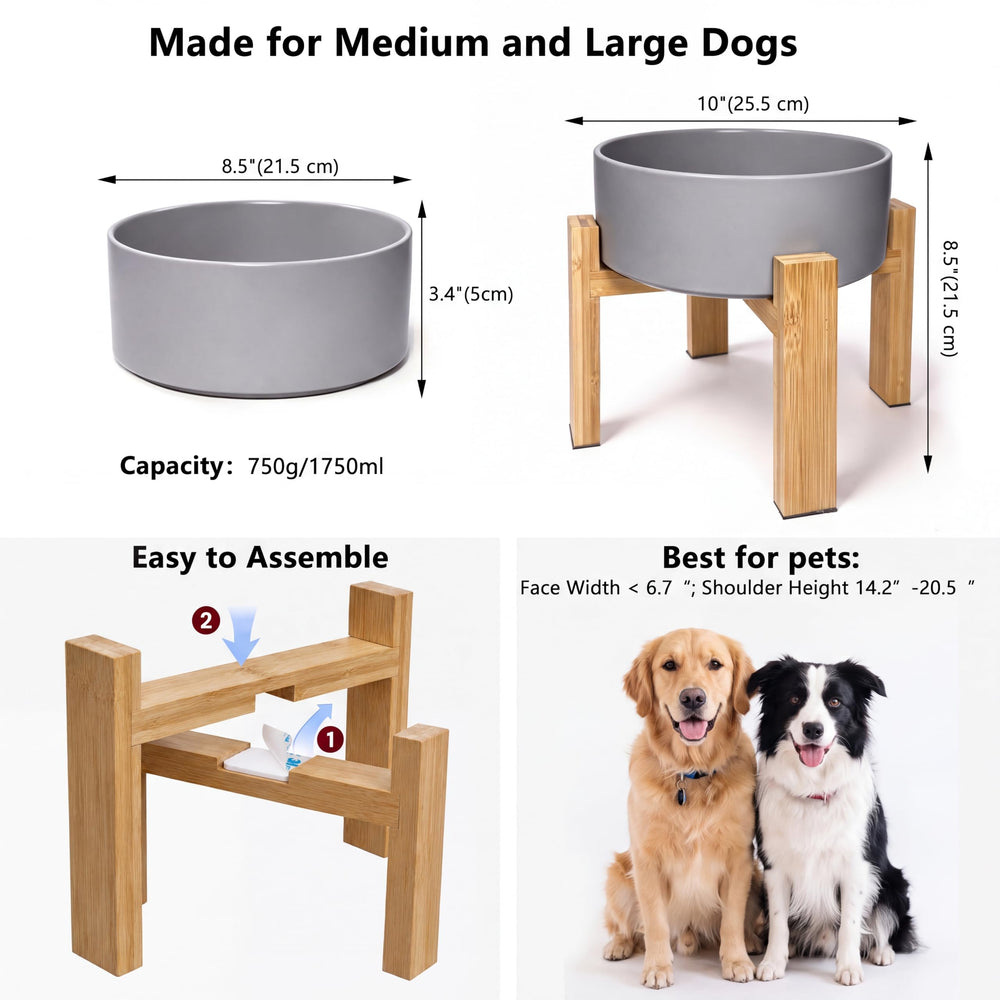 HCHLQLZ elevated ceramic dog bowl with a close view of the ceramic rim.