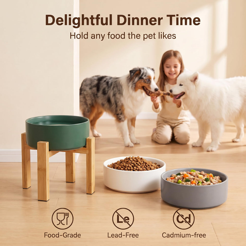 HCHLQLZ elevated ceramic dog bowl positioned for a flat-faced dog to reach its food.