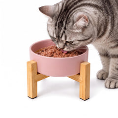 HCHLQLZ raised dog bowl shown from the front with its bamboo stand.