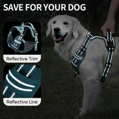 HEELE small dog harness showing its adjustable neck and chest straps.