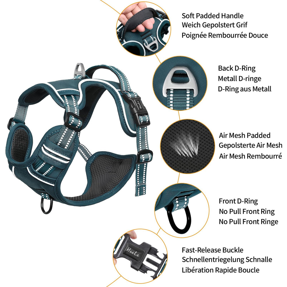 HEELE small dog harness close-up showing its quick-release buckle.