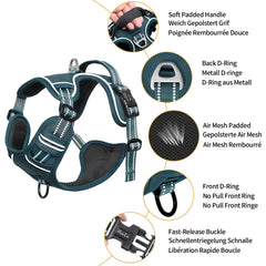HEELE small dog harness close-up showing its quick-release buckle.