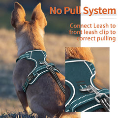HEELE small dog harness detail showing the padded back handle.