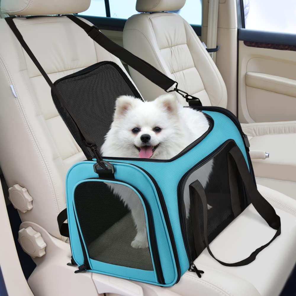 Henkelion pet carrier showing its carrying handles.