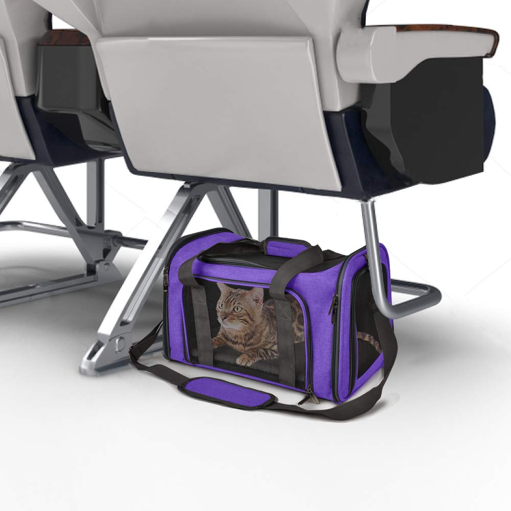 Henkelion pet carrier connecting loops for securing during transport.