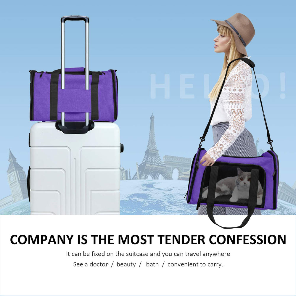 Henkelion pet carrier folded for storage between trips.