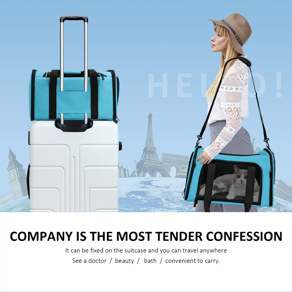 Henkelion pet carrier shown folded for storage.