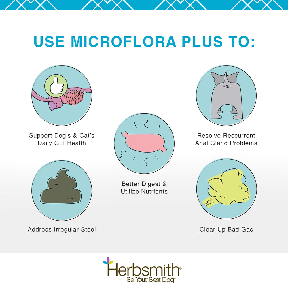 Herbsmith Microflora Plus capsules shown together.