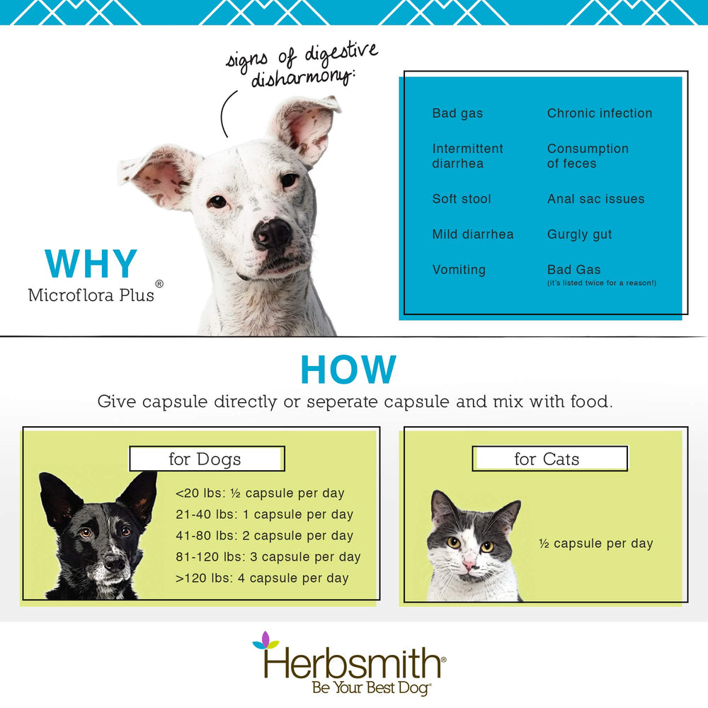 Herbsmith Microflora Plus formula shown with its probiotic, prebiotic, enzyme, and herb components.