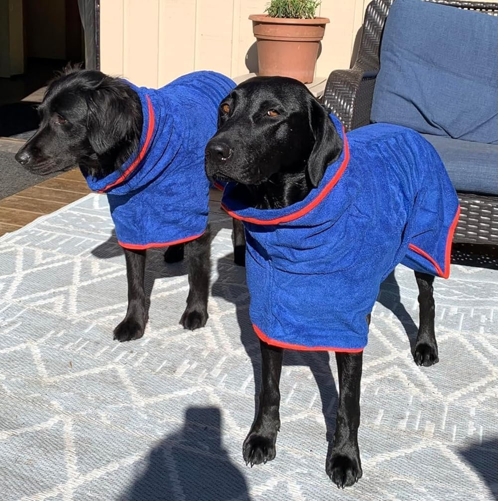 HhiMyOct Dog Drying Coat worn by a pet after swimming.