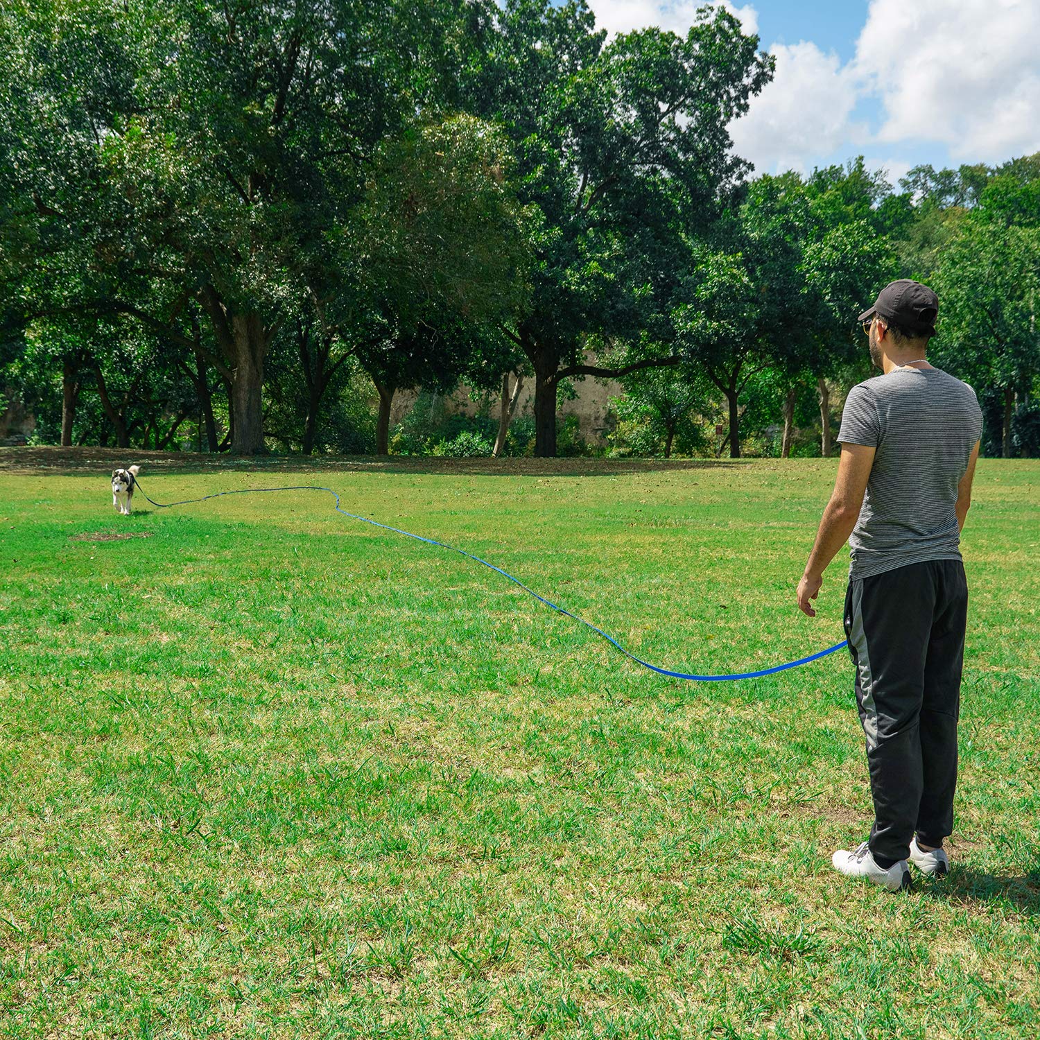 Hi Kiss dog training leash shown during backyard play with a dog.