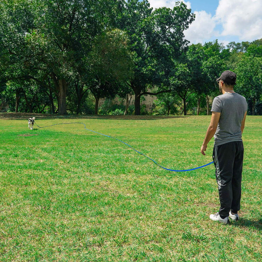 Hi Kiss dog training leash shown during backyard play with a dog.