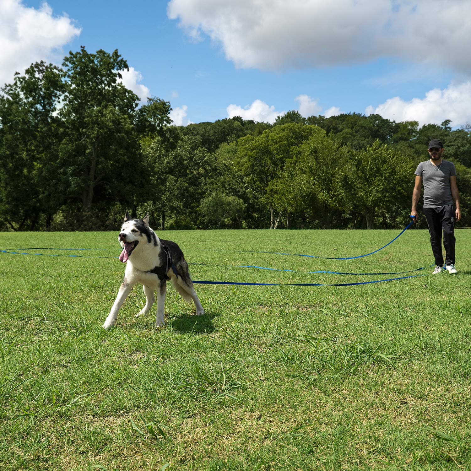 Hi Kiss dog training leash shown during an outdoor hiking outing.