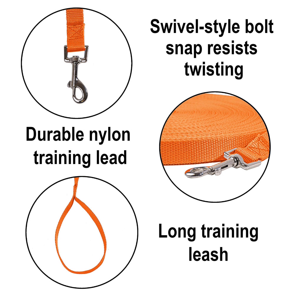 Hi Kiss dog training leash with its reinforced stitching in close view.