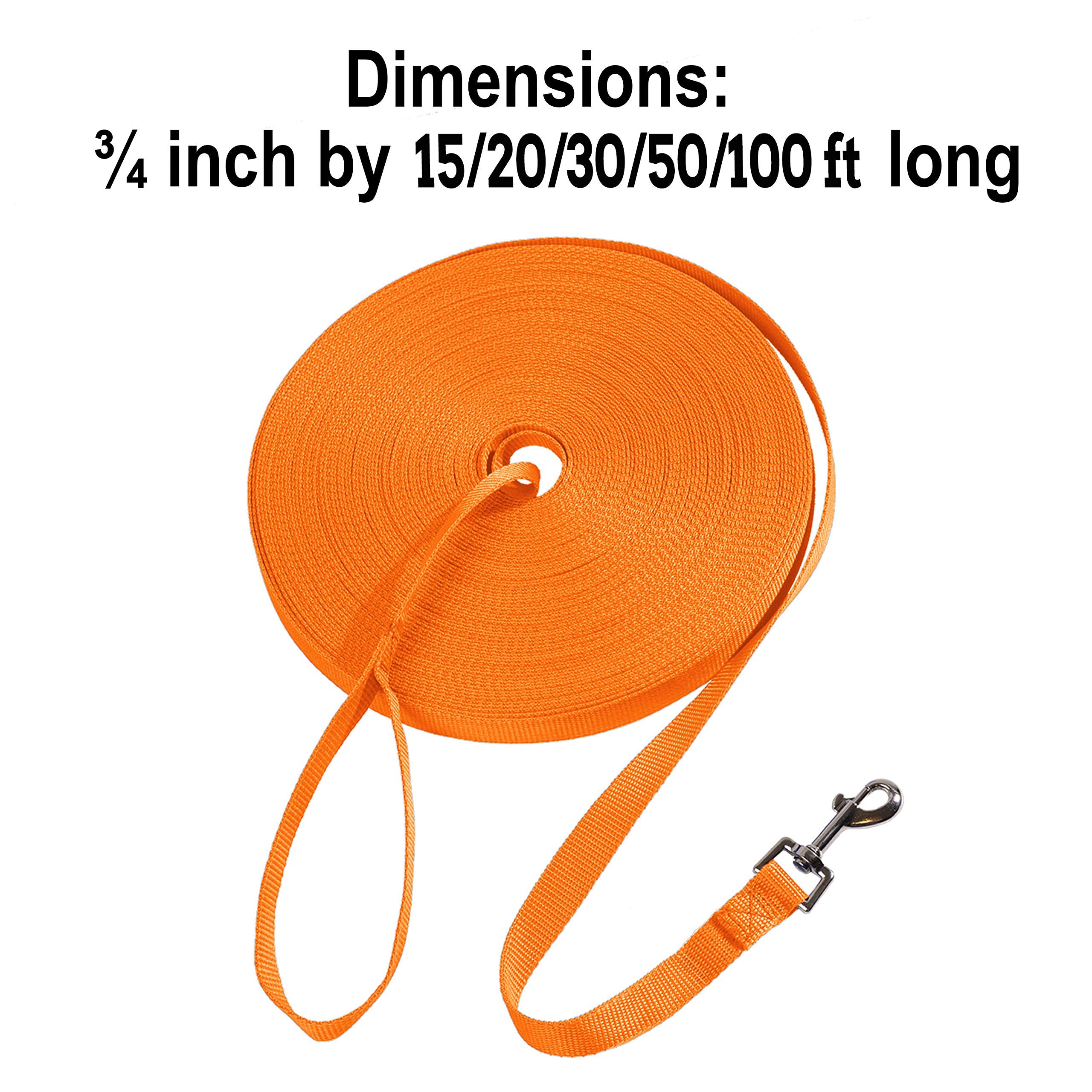 Hi Kiss dog training leash with the nickel-plated swivel bolt snap shown close up.