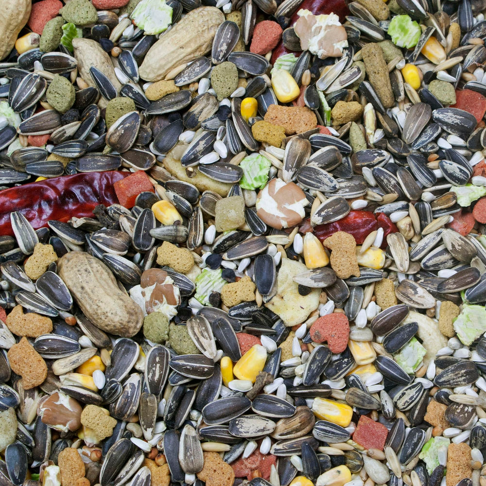 Higgins Vita Seed Parrot label highlighting its named features.