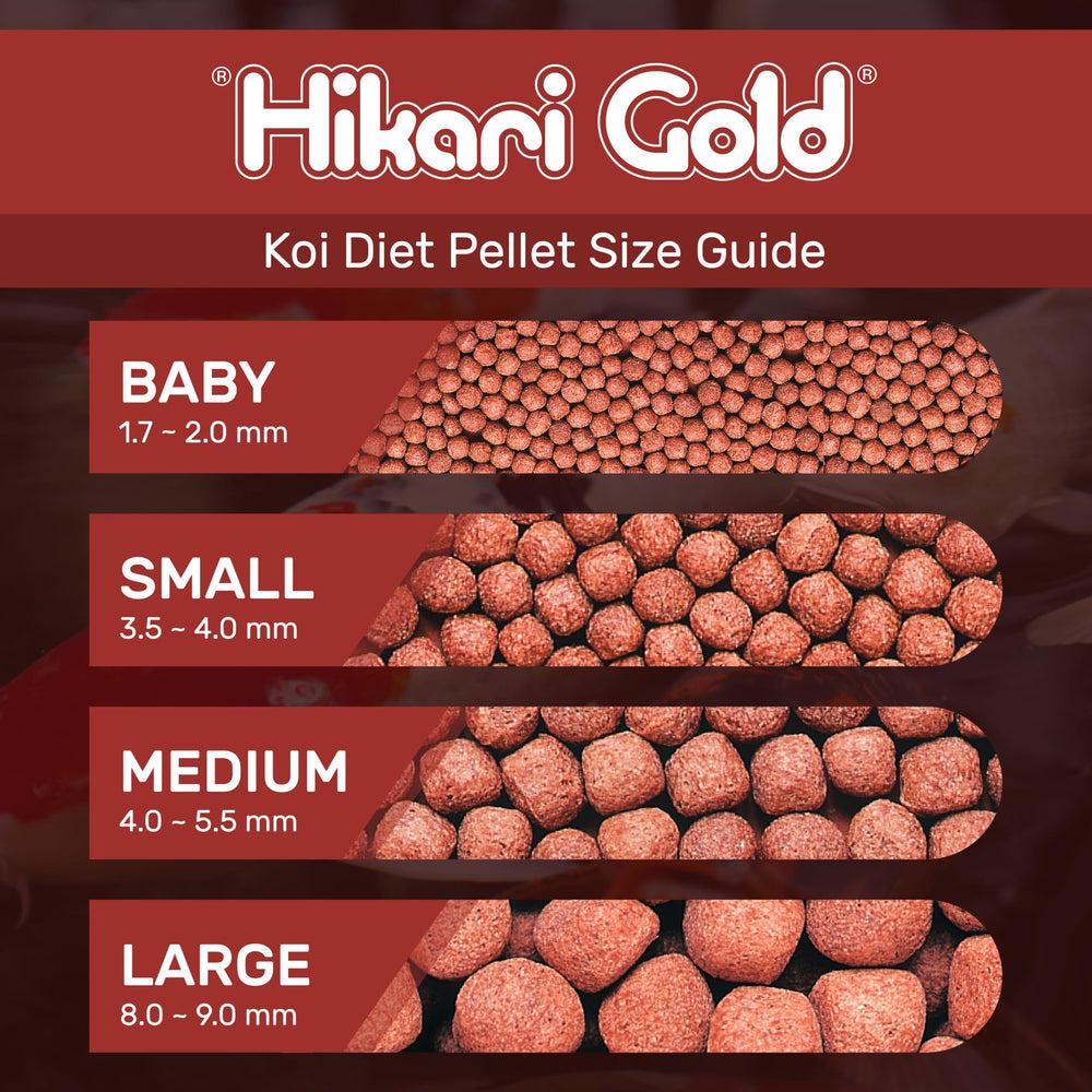 Hikari Gold Small Floating Pellets shown with the product package and its contents.