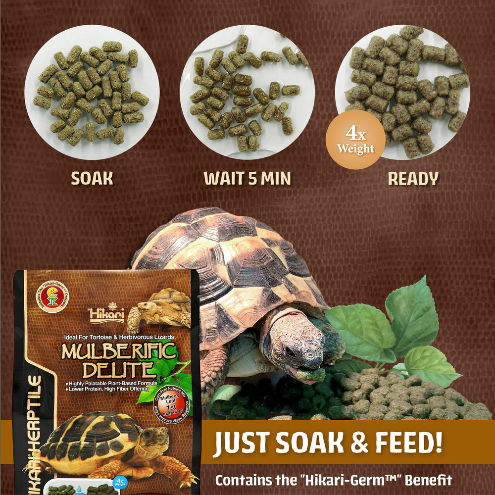 Hikari Herptile Mulberific Delite pellets shown in a feeding-use view.