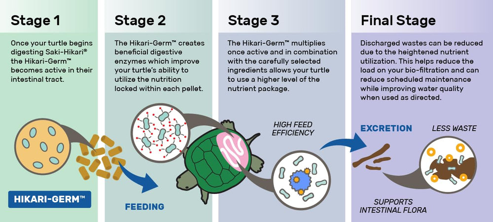Hikari Herptile Mulberific Delite packaging shown from an alternate angle.