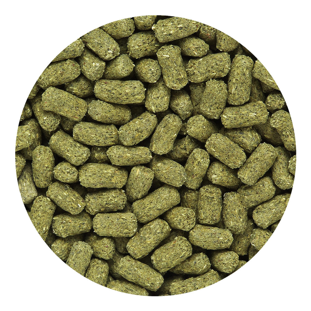 Hikari Herptile Mulberific Delite pellet texture shown for its water-absorbing format.