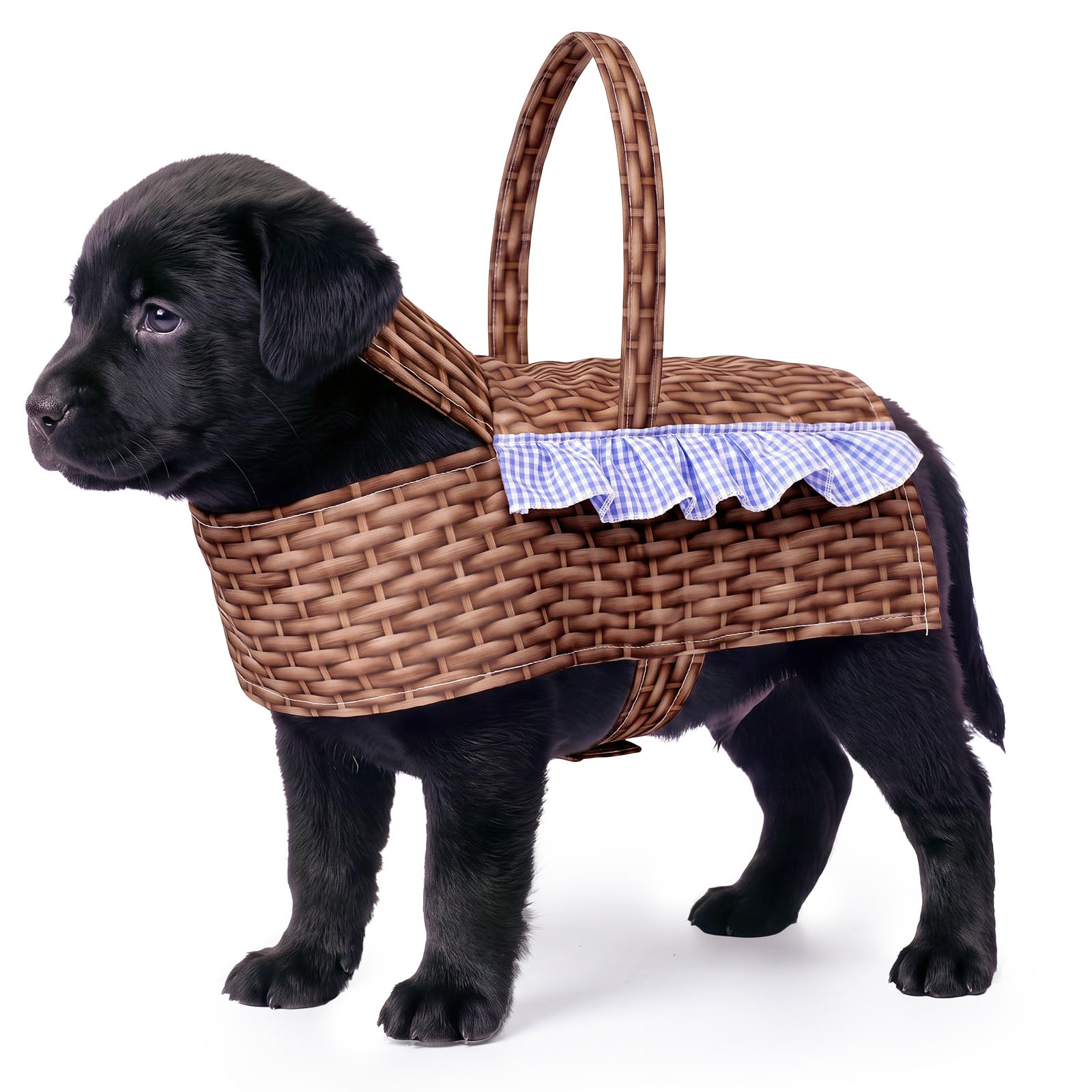 Hillban dog basket costume shown from the front with its basket-inspired design.