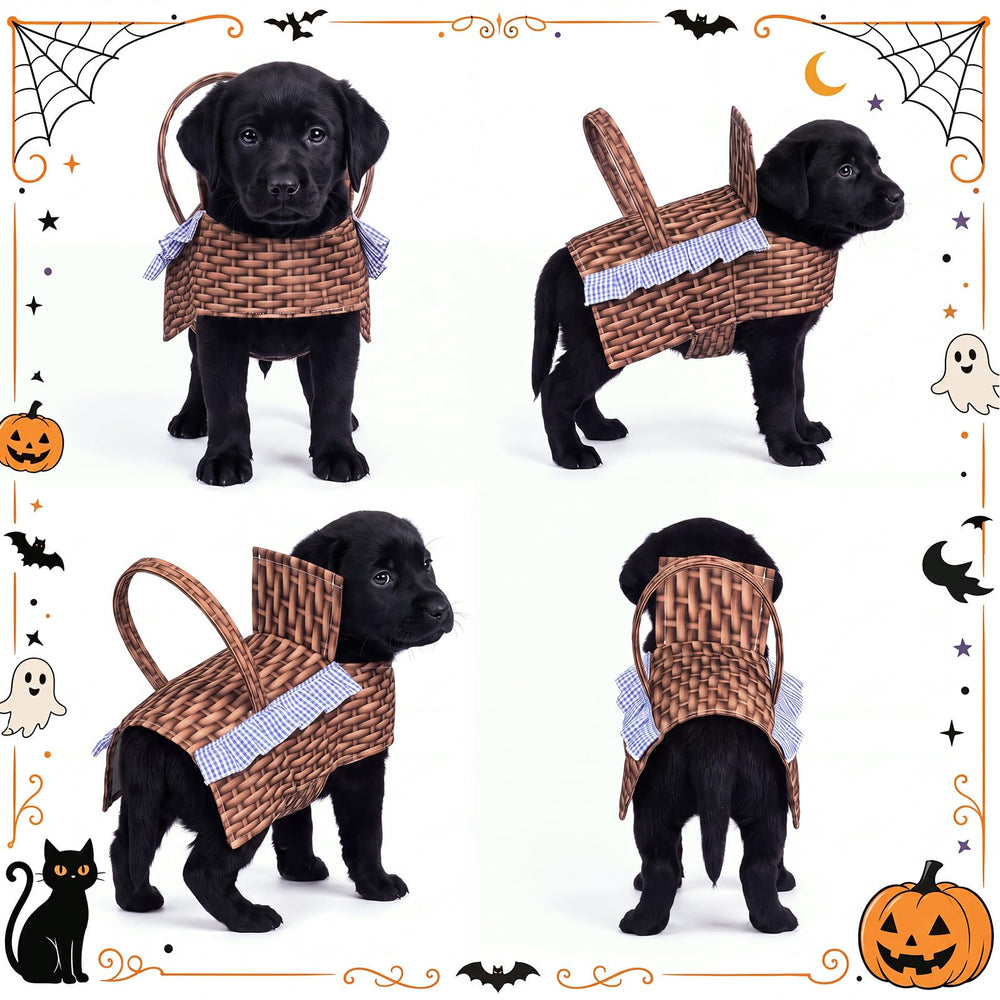 Hillban dog basket costume showing the multicolor design and basket-style details.