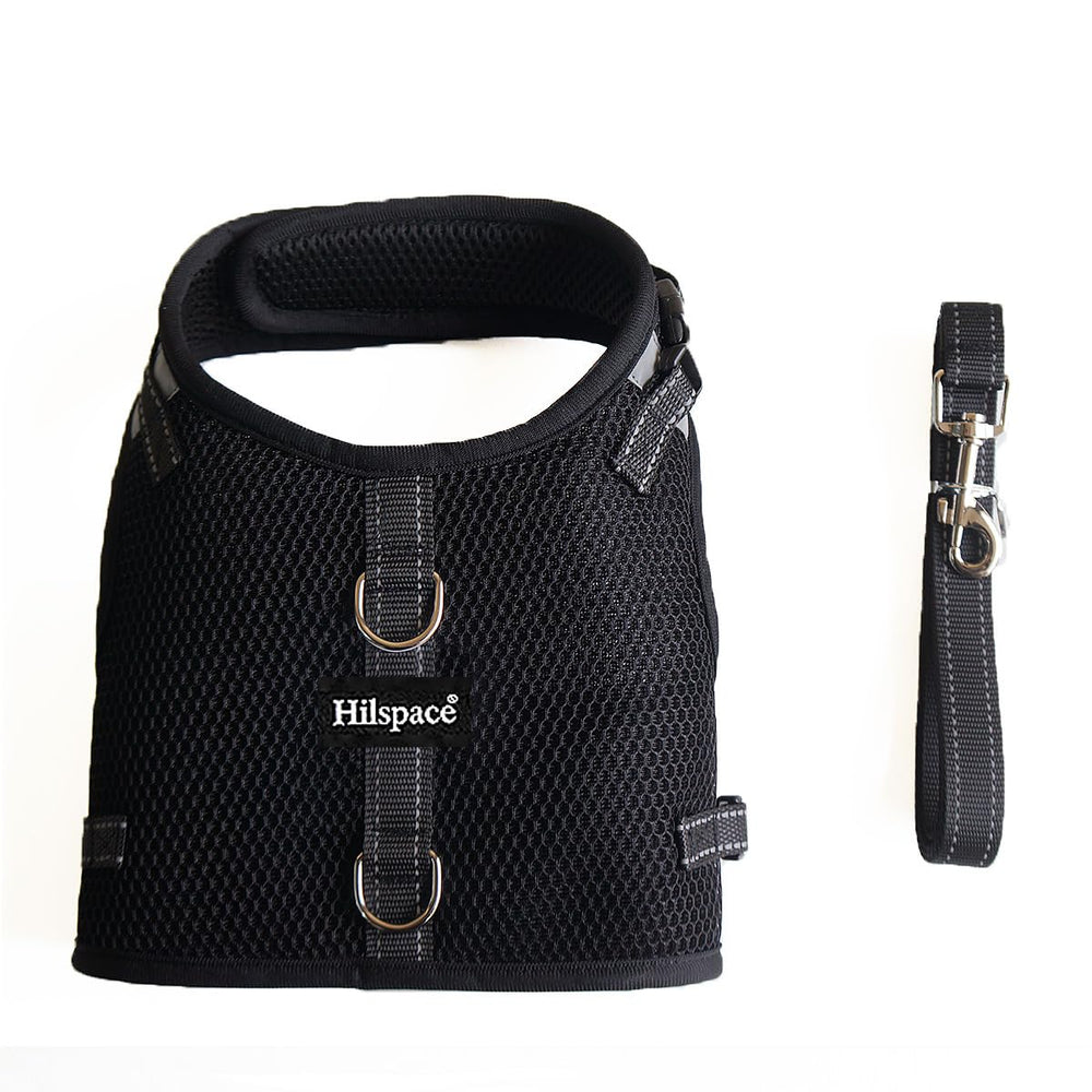 Hilspace dachshund harness detail showing the adjustable straps.