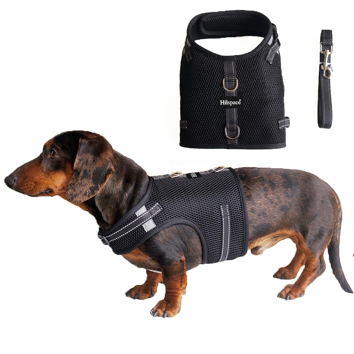 Hilspace dachshund harness shown from the front in black.
