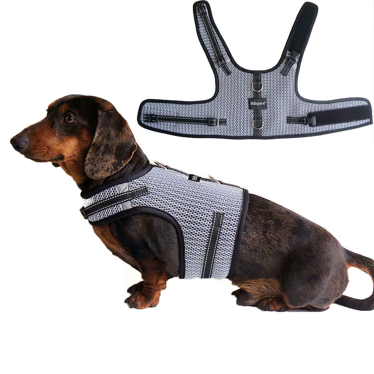 Hilspace Dachshund Harness shown from the front in its vest-style design.