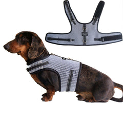 Hilspace Dachshund Harness shown from the front in its vest-style design.