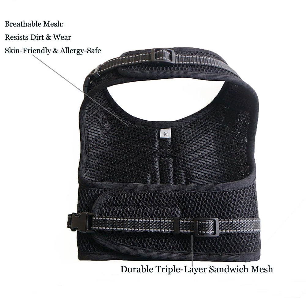 Hilspace dachshund harness close-up showing the sandwich mesh.