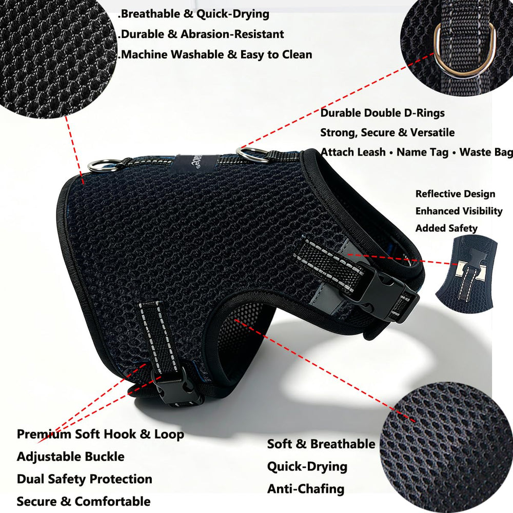 Hilspace dachshund harness viewed from behind.