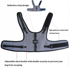 Hilspace Dachshund Harness shown from the side to display its vest shape.
