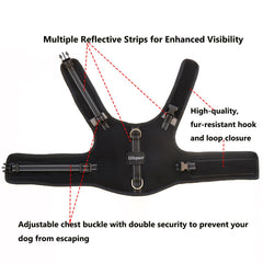 Hilspace dachshund harness shown from the side to show its vest shape.